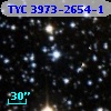 TYC 3973-2654-1