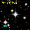 V* VY Pup