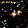 V* FX Pup