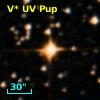 V* UV Pup