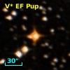 V* EF Pup