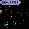 LEDA   77736