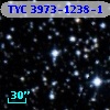 TYC 3973-1238-1