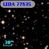 LEDA   77835