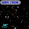 LEDA   77836