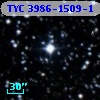 TYC 3986-1509-1