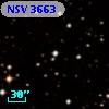 NSV  3663