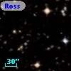 Ross  392