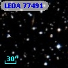 LEDA   77491