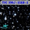 TYC 3982-1560-1