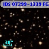 IDS 07299-1339 FG