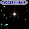 TYC 2828-429-1