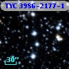 TYC 3986-2177-1
