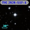 TYC 2828-517-1