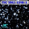 TYC 3982-1380-1