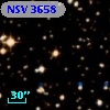 NSV  3658