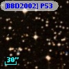 [BBD2002] P53