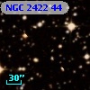 NGC  2422    44
