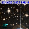 Cl* NGC 2422    PMS     495