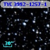TYC 3982-1257-1
