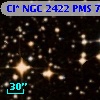 Cl* NGC 2422    PMS     732
