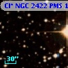 Cl* NGC 2422    PMS    1263