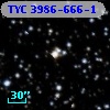 TYC 3986-666-1