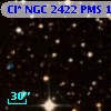 Cl* NGC 2422    PMS    1000