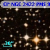 Cl* NGC 2422    PMS     943