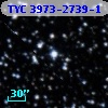TYC 3973-2739-1