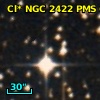 Cl* NGC 2422    PMS     619