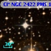 Cl* NGC 2422    PMS    1160