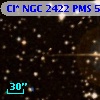 Cl* NGC 2422    PMS     593