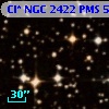Cl* NGC 2422    PMS     558