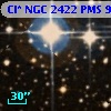 Cl* NGC 2422    PMS     913