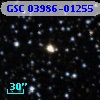 GSC 03986-01255