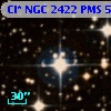 Cl* NGC 2422    PMS     536