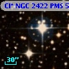 Cl* NGC 2422    PMS     533