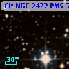 Cl* NGC 2422    PMS     529