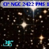 Cl* NGC 2422    PMS    1176