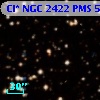 Cl* NGC 2422    PMS     519