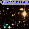 Cl* NGC 2422    PMS     513
