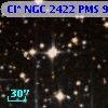 Cl* NGC 2422    PMS     919