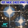 Cl* NGC 2422    PMS     512