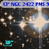 Cl* NGC 2422    PMS     920