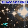 Cl* NGC 2422    PMS    1156