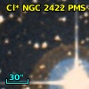 Cl* NGC 2422    PMS     494