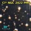 Cl* NGC 2422    PMS     493