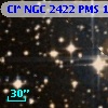 Cl* NGC 2422    PMS    1141