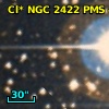 Cl* NGC 2422    PMS     486